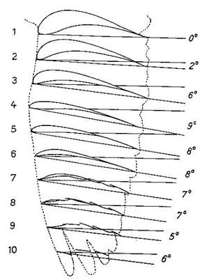 fig2